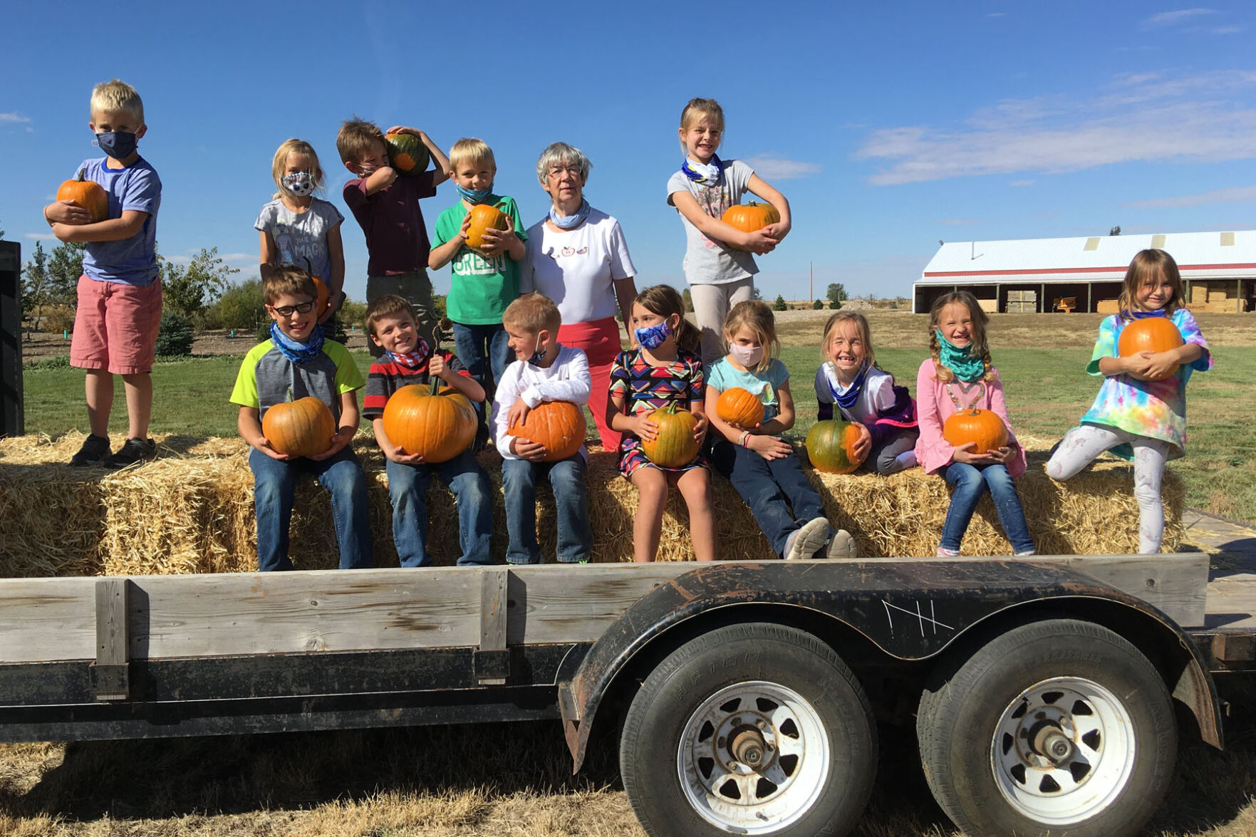In the pumpkin patch